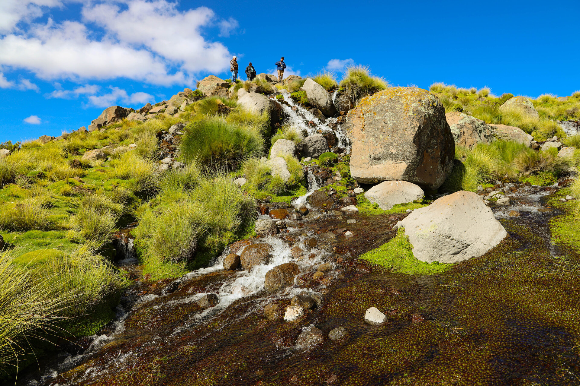 Sallalli natural spring source at 4,505 meters in the Peruvian Andes