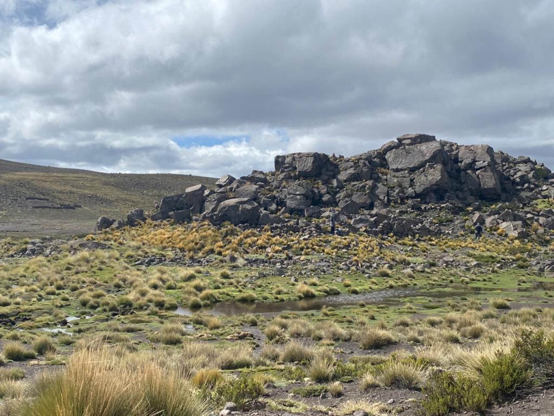 Wide view of Sallalli spring area with wetland and Andean mountains