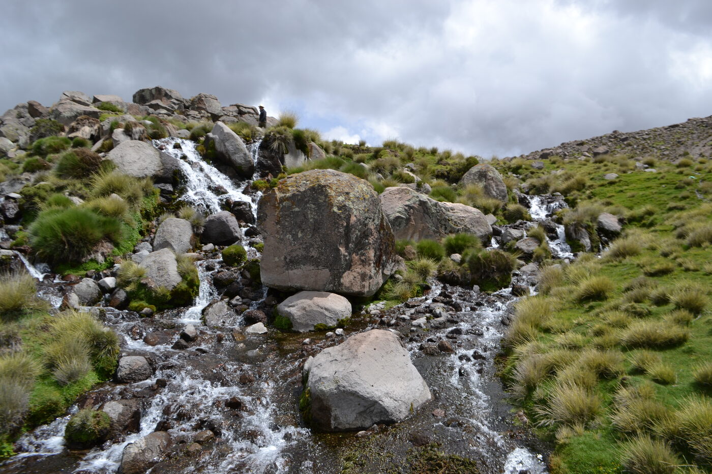 The highland spring with water flowing through boulders and ichu grass